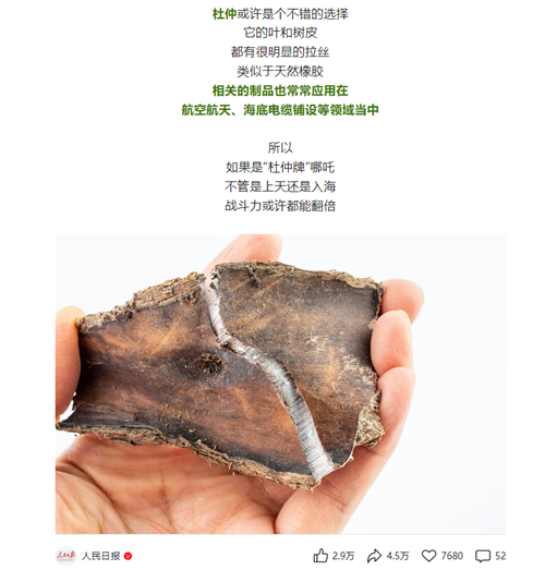 十大网赌app-“重塑哪吒”非藕不可？杜仲或许更合适！